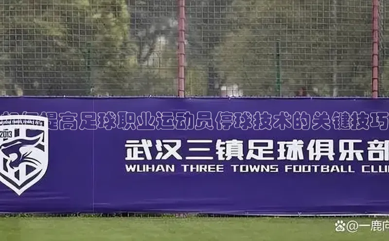 熊猫体育58同城