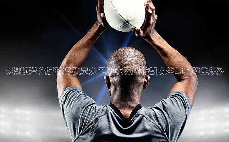 熊猫app官方网站百度网盘企业版