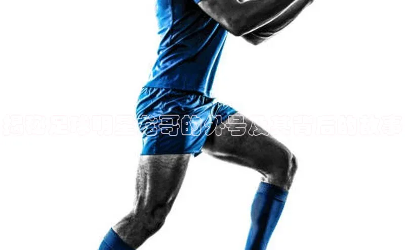 熊猫足球直播免费观看小米