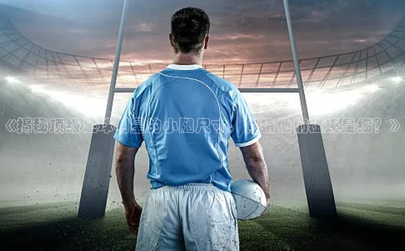 熊猫体育在线直播app观星盘