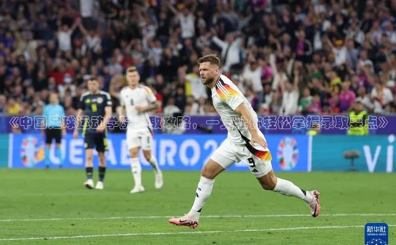 熊猫体育app下载网易