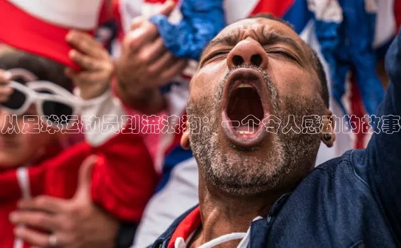 熊猫体育手机版下载百家号