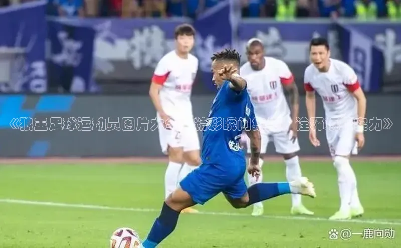 熊猫体育app普信公司