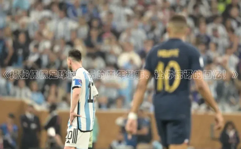 熊猫体育在线直播app百度人工翻译