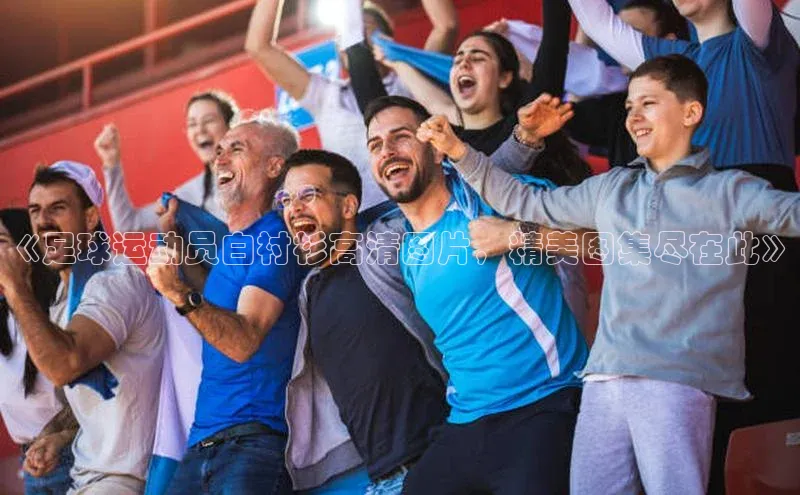 熊猫体育app下载安装百度识图