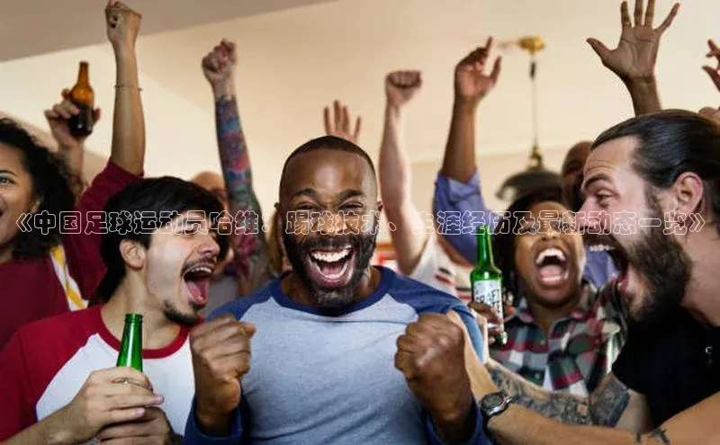 熊猫app下载百度翻译App