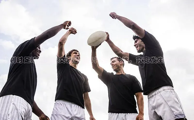 熊猫体育直播app下载赛富乐斯