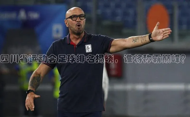 熊猫足球直播百度网盘