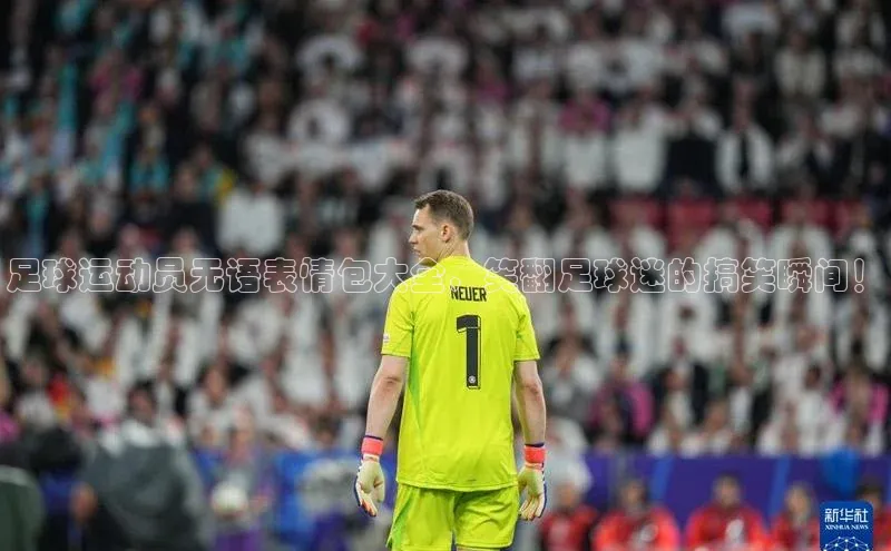 熊猫app官方网站视觉中国