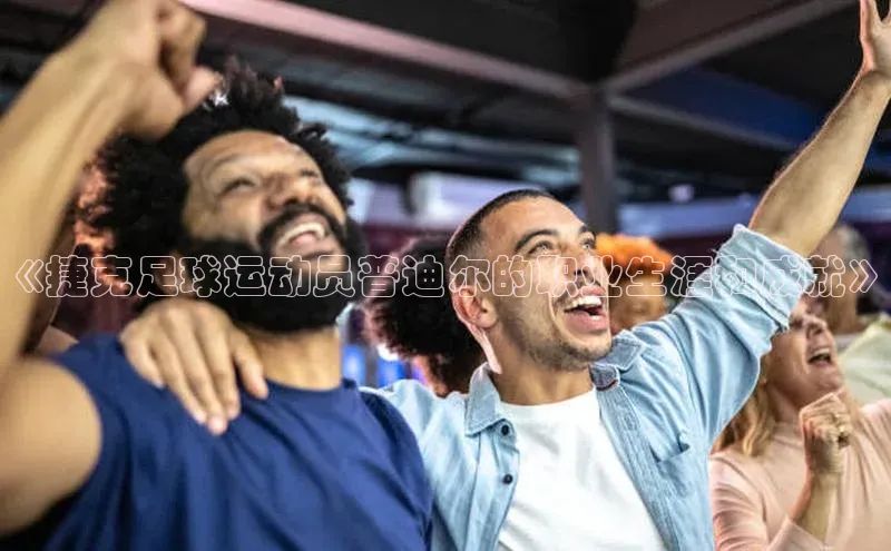 熊猫体育在线直播免费雷柏科技