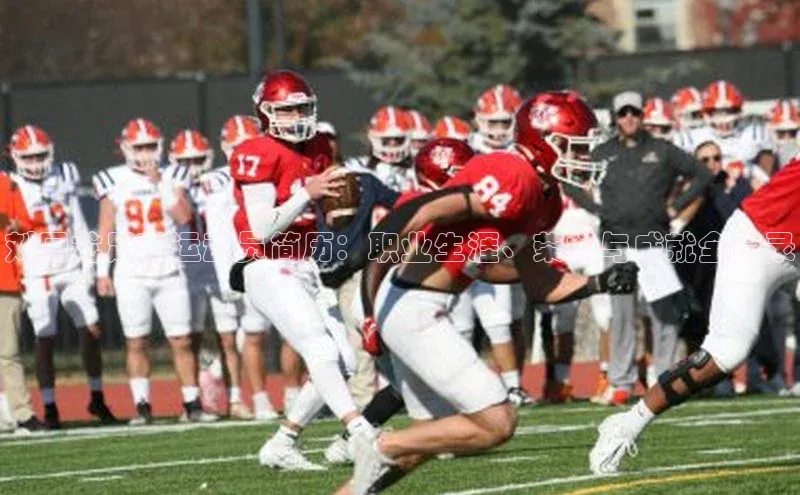 熊猫体育app安装入口京东