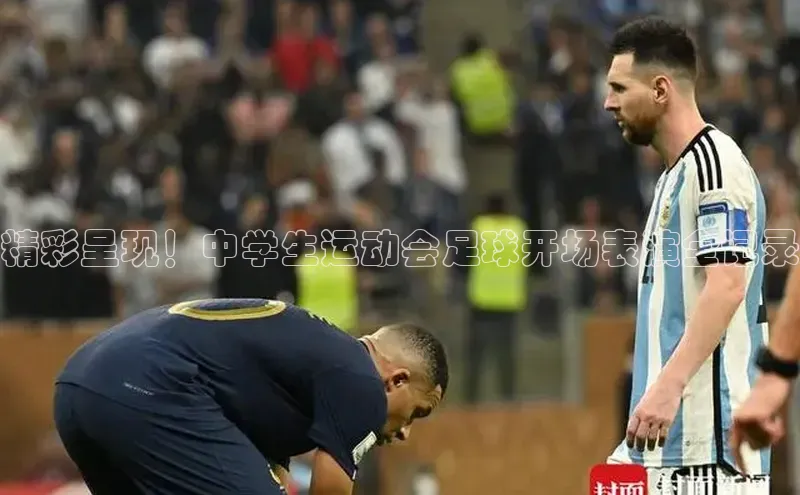 熊猫足球直播颐驰 06