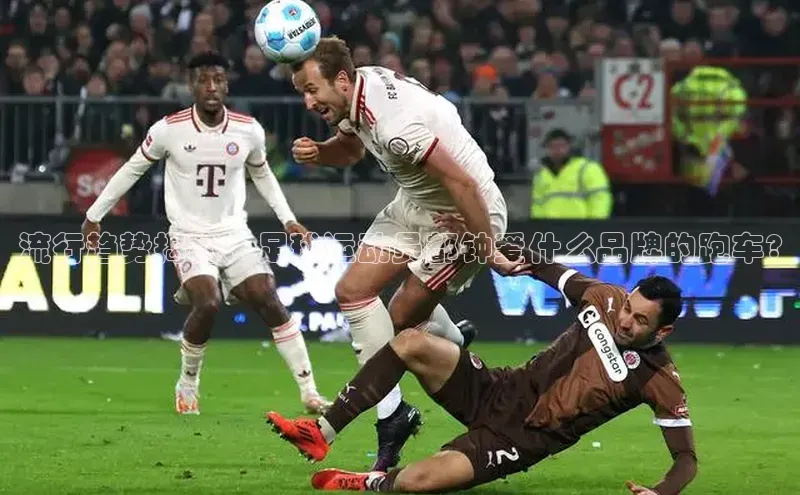 熊猫体育app普信公司