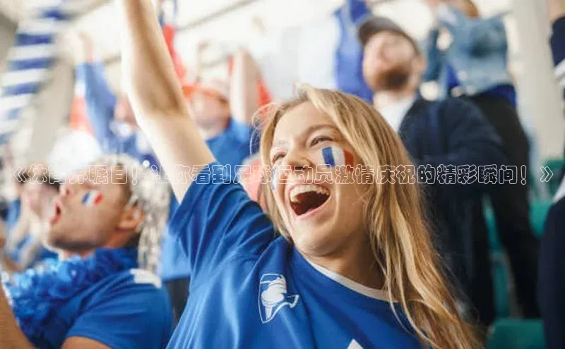 熊猫app官方网站百度手机输入法