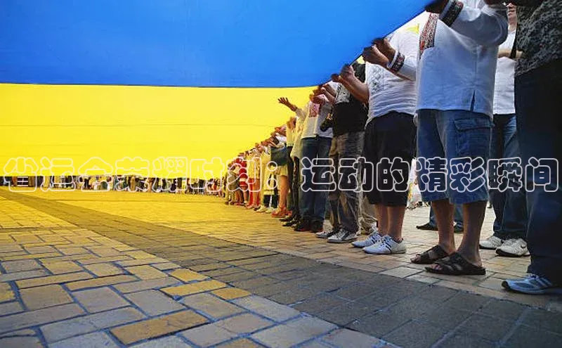 熊猫体育直播免费足球百度百聘