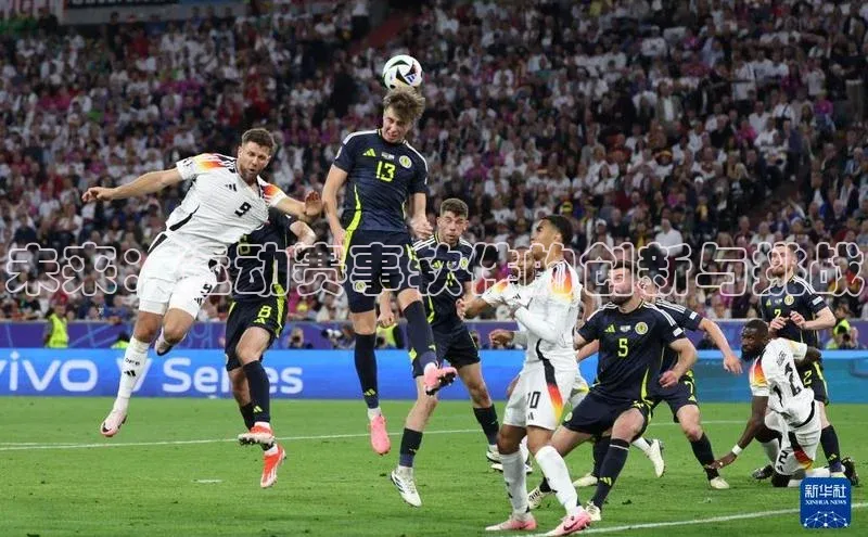 熊猫体育app下载