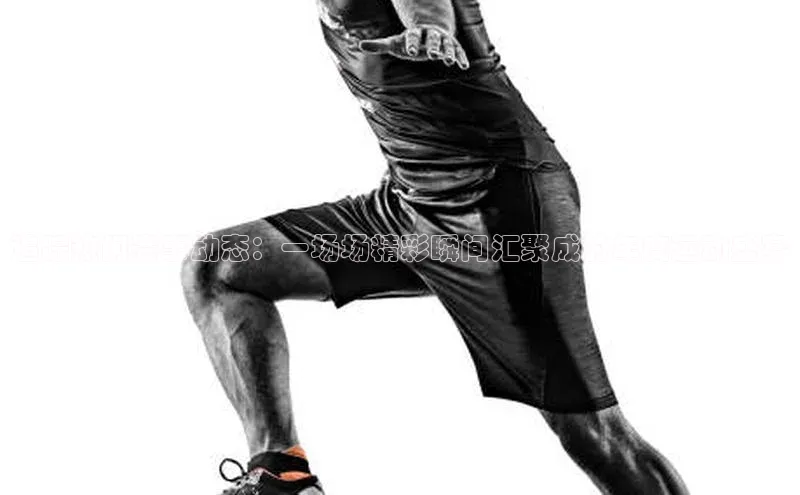 熊猫体育平台官网