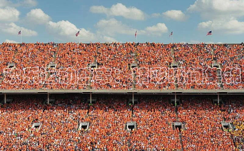 熊猫体育app官方入口