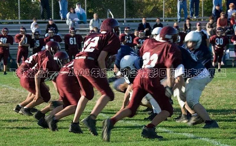 熊猫足球直播免费观看