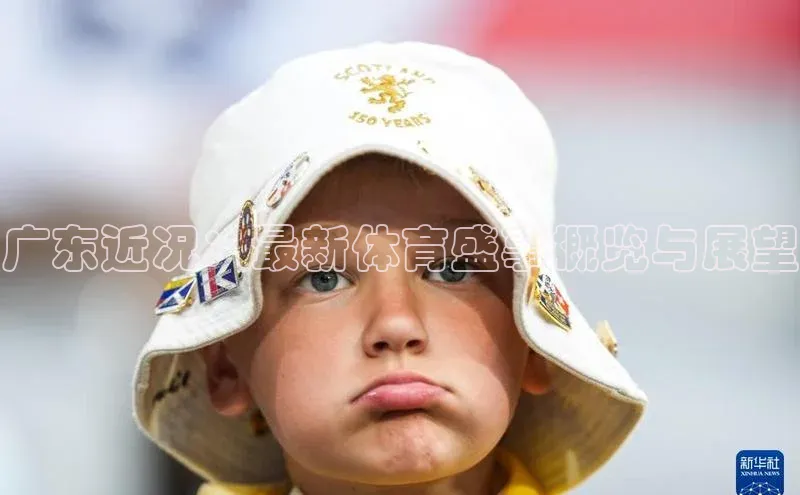 熊猫体育在线观看平台