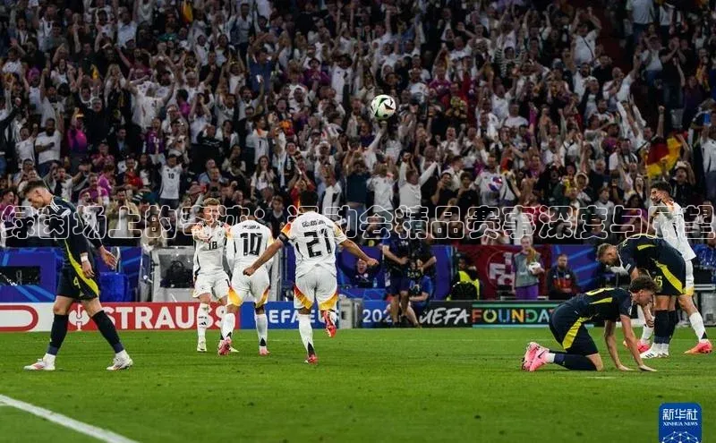 熊猫体育在线观看平台