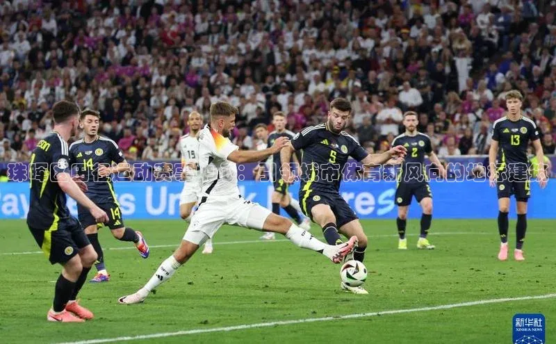 熊猫体育app下载安装