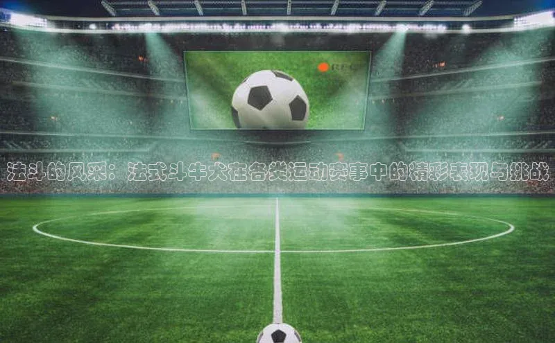 熊猫体育直播app下载