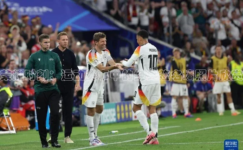 熊猫体育手机版下载