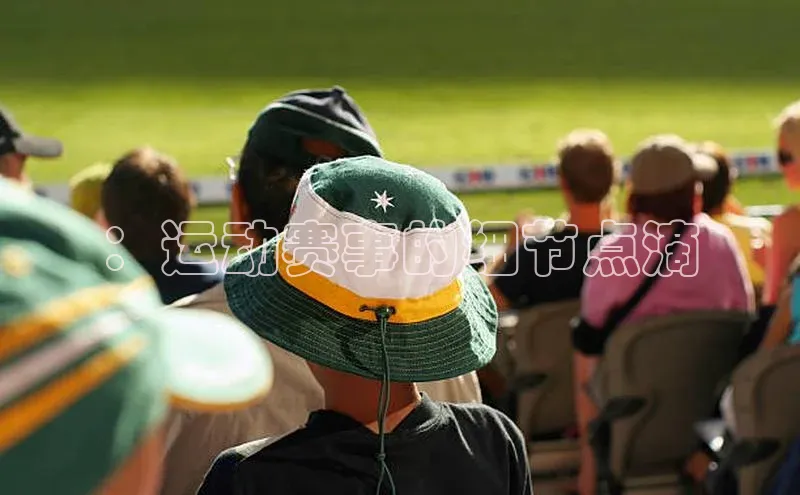 熊猫体育直播app下载