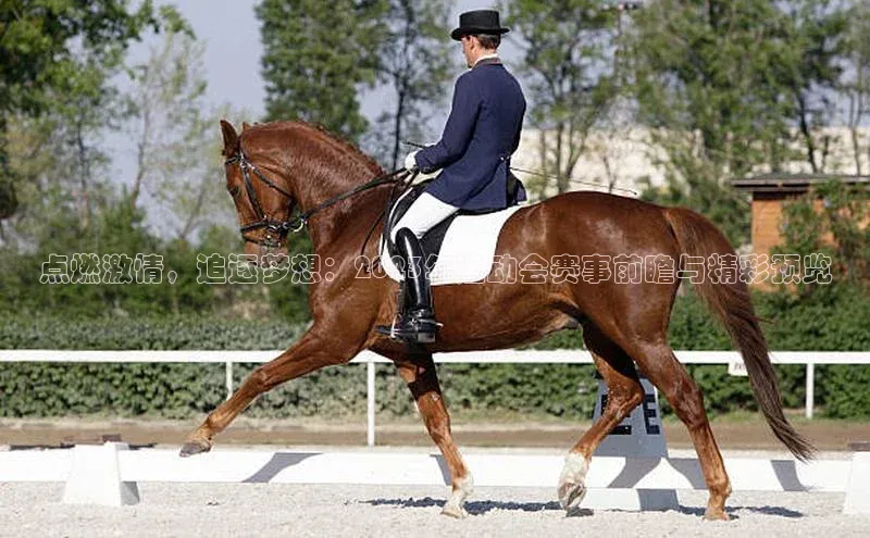 熊猫体育app官网