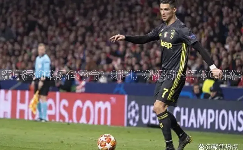 熊猫体育app下载安装