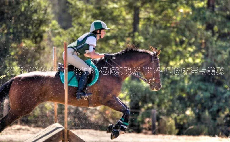 熊猫体育直播免费足球