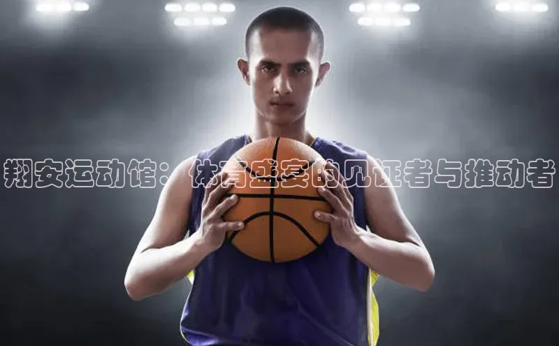 熊猫体育网页版