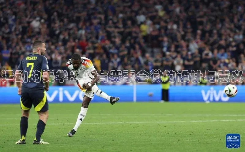 熊猫体育app下载安装