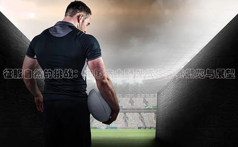 熊猫体育平台官网