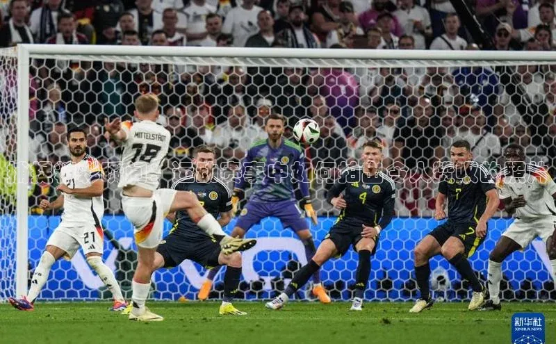 熊猫app官方网站