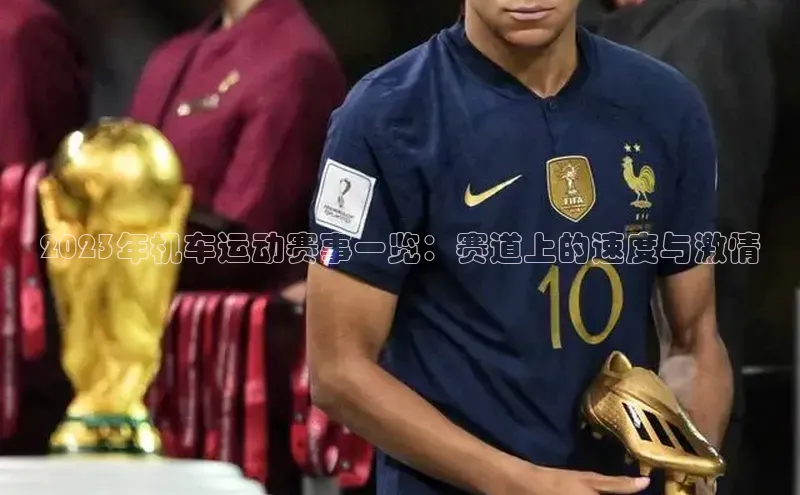 熊猫体育官网首页入口